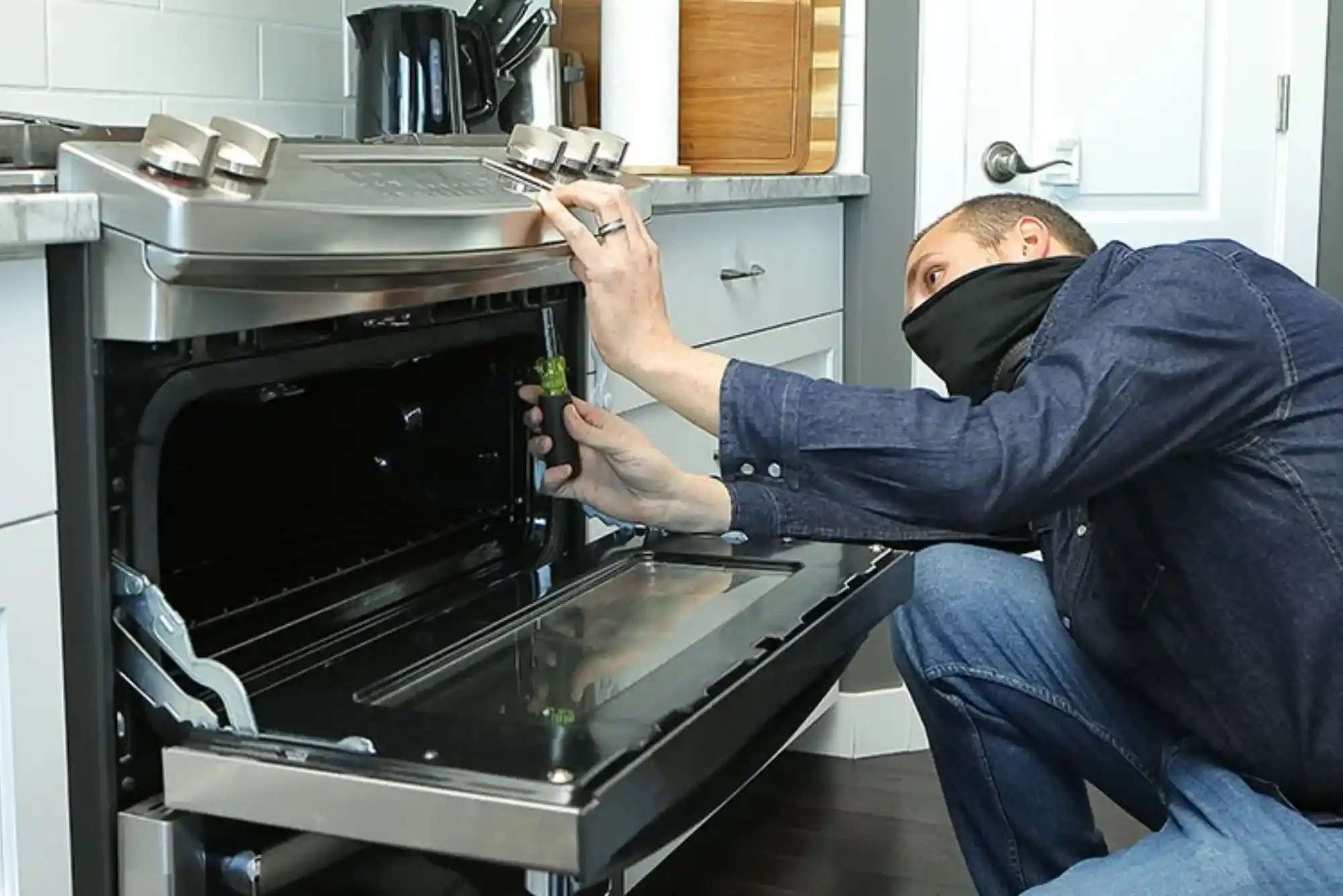 Professional Oven Repair